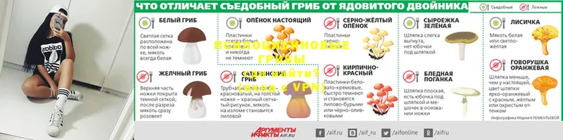 Где купить наркоту Инсар АМФ  Кокаин  Мефедрон  Каннабис  A-PVP 