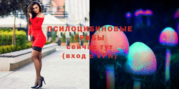 2c-b Нефтекумск