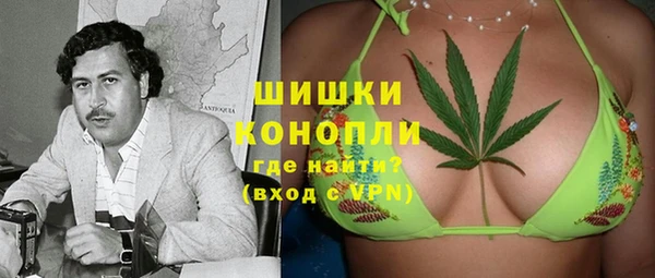 сатива Нефтегорск